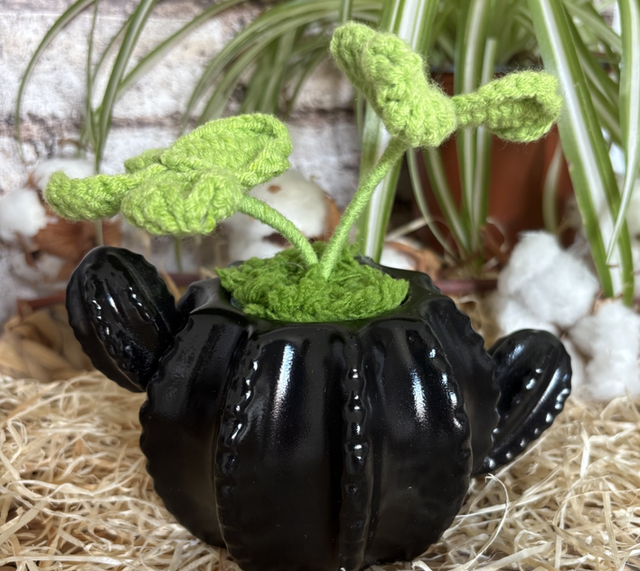 Vase Cactus en Jesmonite / Noir
