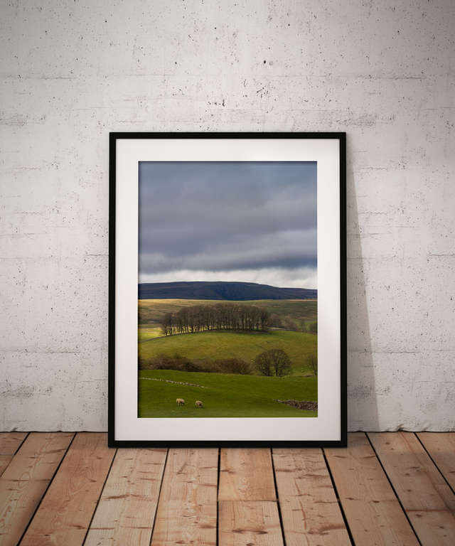 Tower of Trees, Hawes