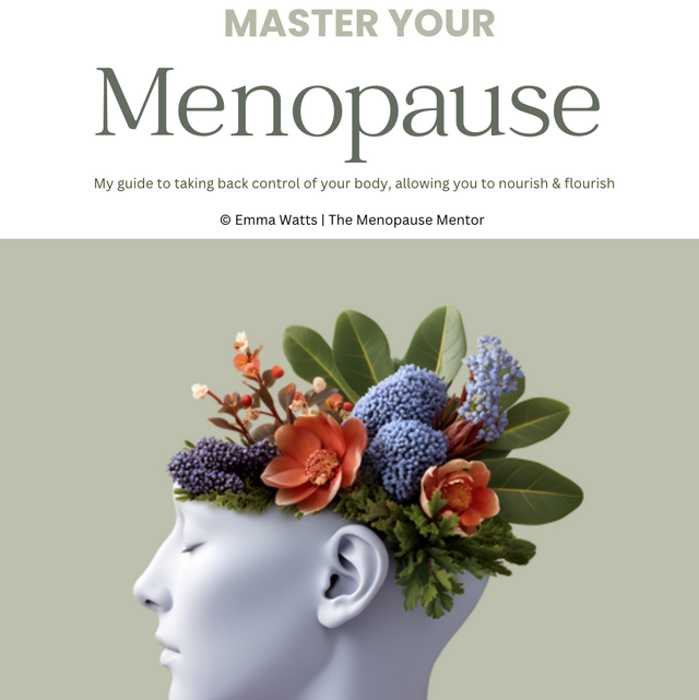 Master Your Menopause Guide