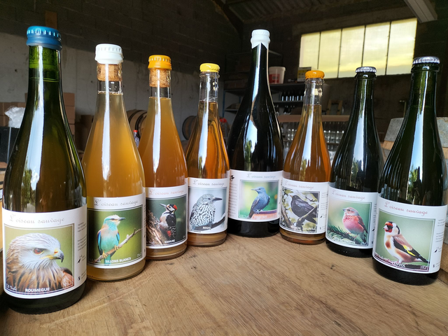 Pack 6 bouteilles