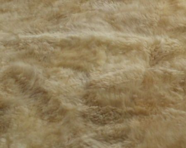 TAPETE BEGE PELO BAIXO 10 mt - LOCAÇÃO