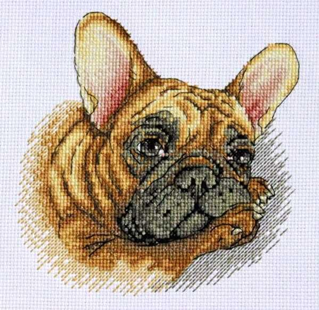 Merejka French Bulldog (DMC) - K-114