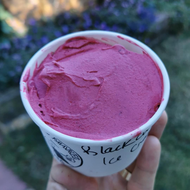 Blackcurrant Ice Cream