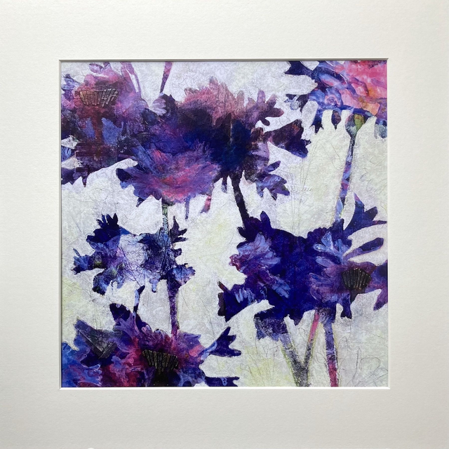 Agapanthimpsest - Art Print