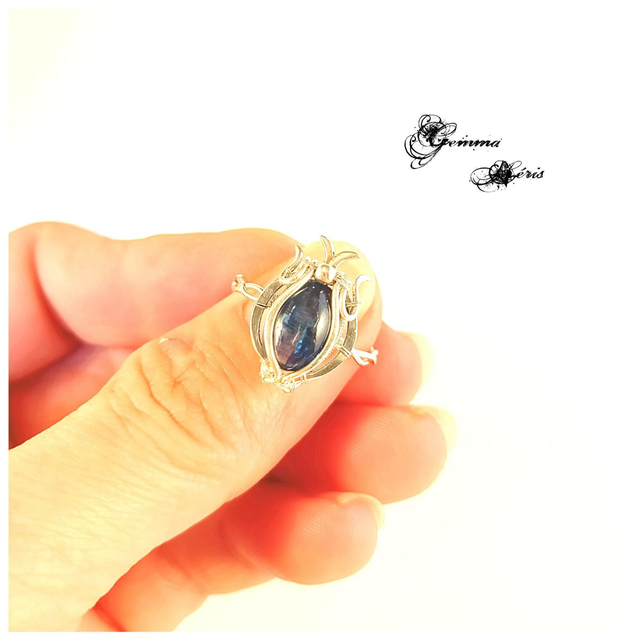 Neptune - ou l'hommage à la nature impétueuse T 62