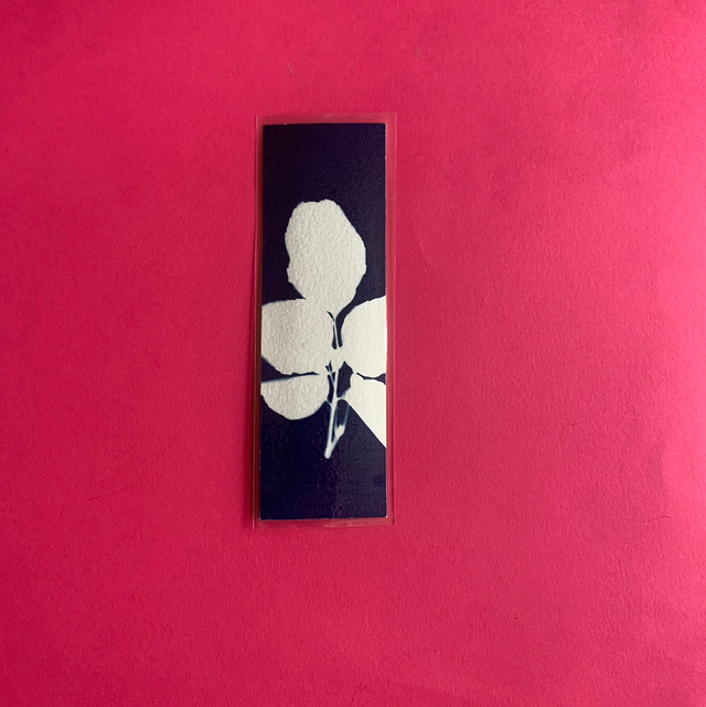 Marque page cyanotype végétal original sur papier épais et plastifié