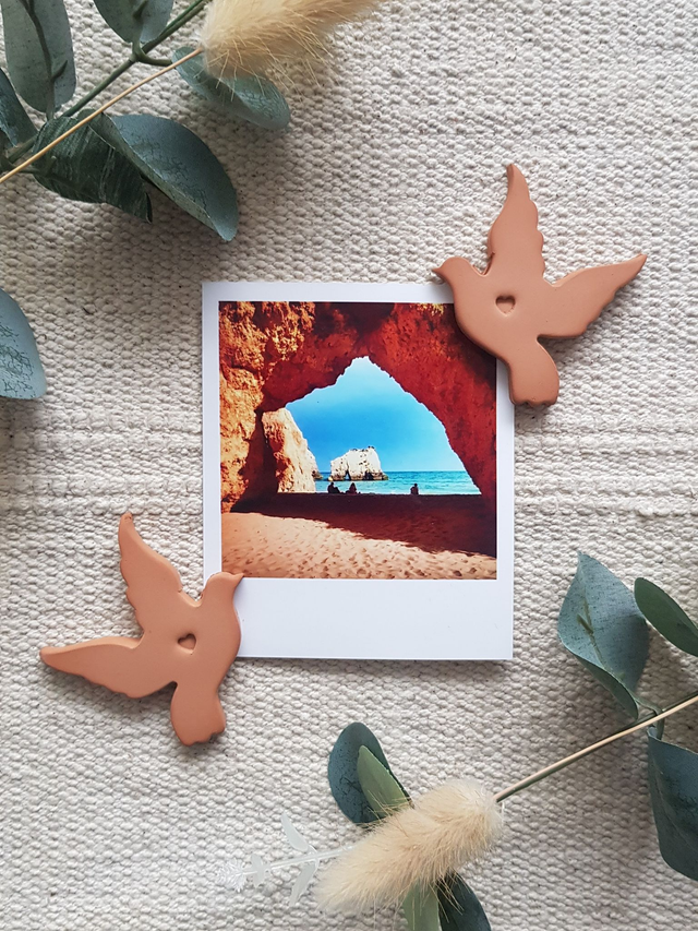 LOT DE 2 MAGNETS - OISEAUX