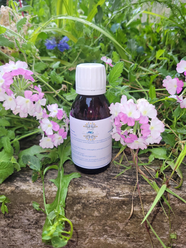 Ostéo flexi Chats/Chiens/Nac