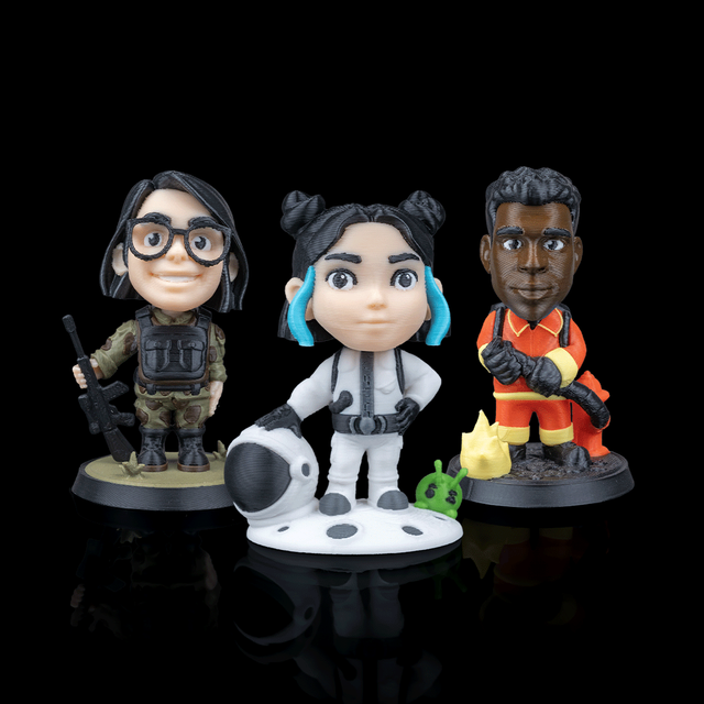 Mini-moi professionnel