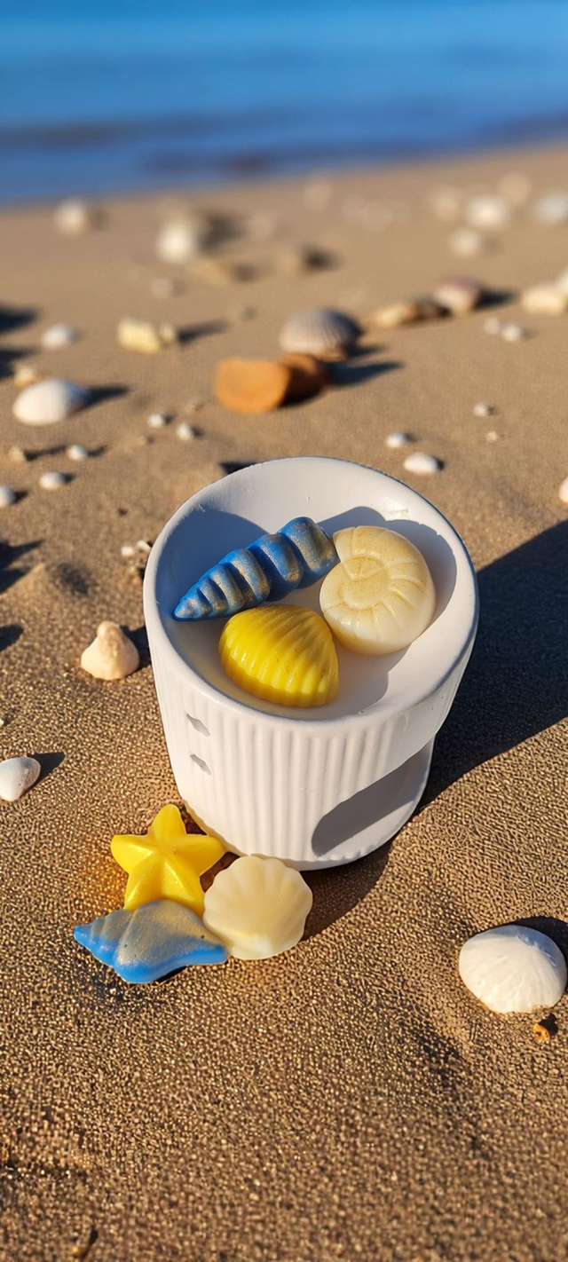 🥥 Fondants parfumés – Monoï