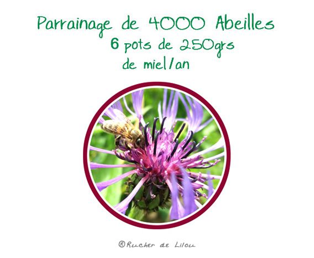 Parrainage de 4000 Abeilles