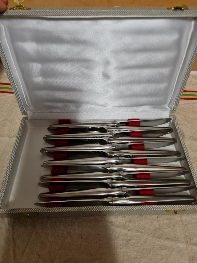 12 couteaux a dessert inox