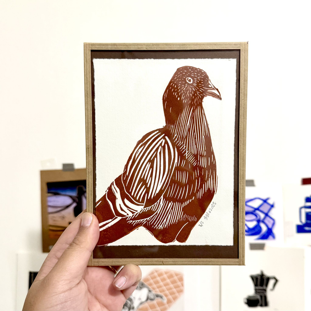 Portrait d&#039;un pigeon - encadré 