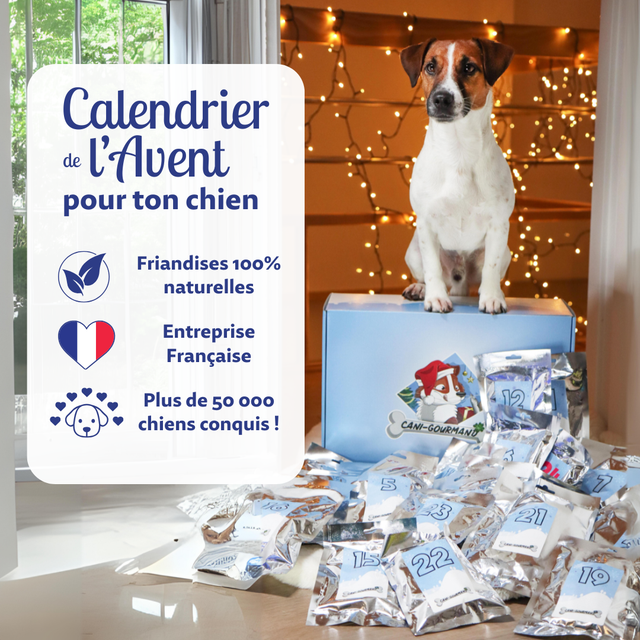 Calendrier de l&#039;Avent Géant