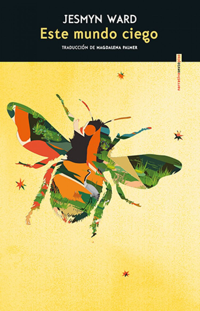 Este mundo ciego - Jesmyn Ward