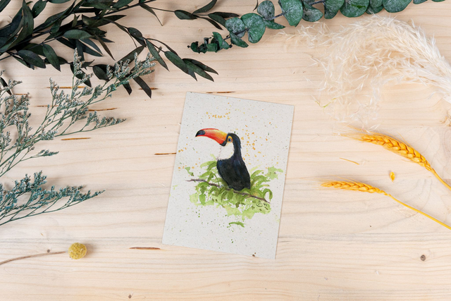 Graspapierkarte - Tukan