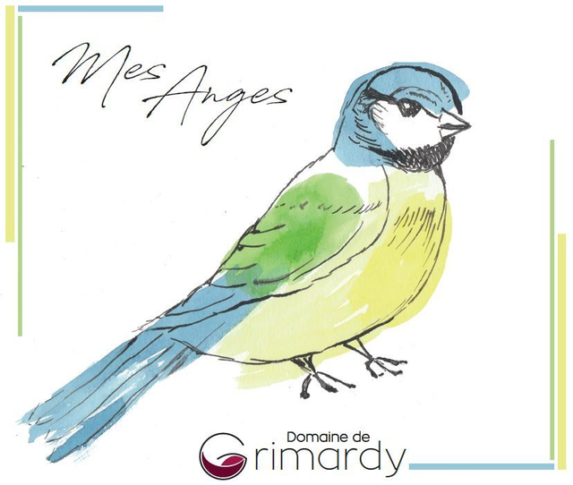 ZDemande d'échantillons pour Professionnels (Livraison à valider)