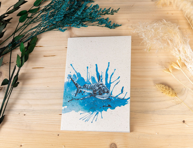 Notizbuch - Riffhai - Eleganter Bewohner der Korallenriffe