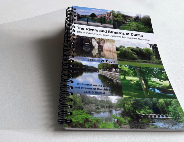 Rivers and Streams of Dublin by JW Doyle