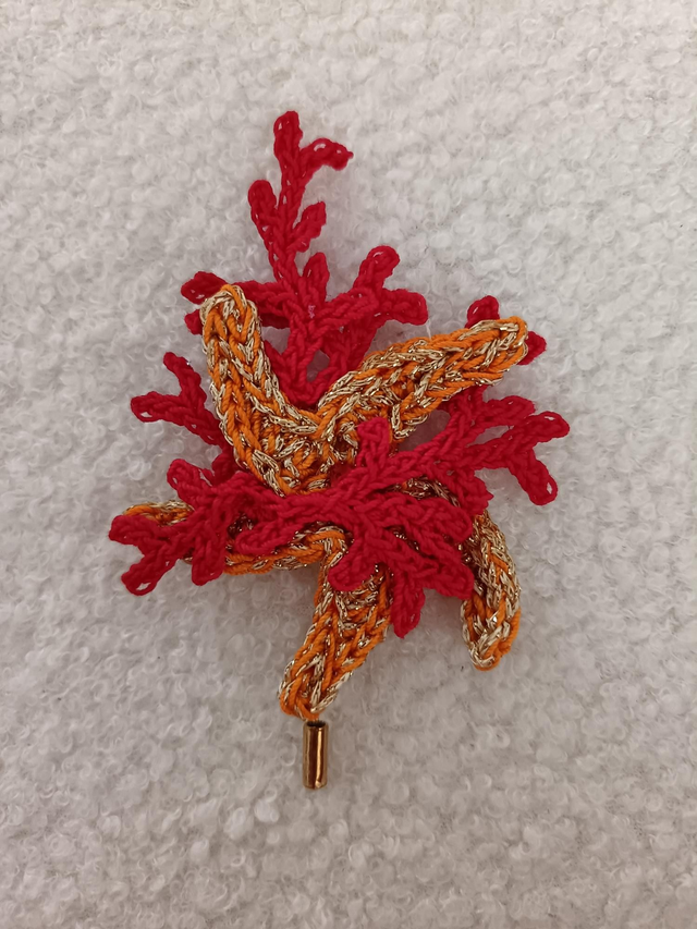 Broche tige étoile et corail