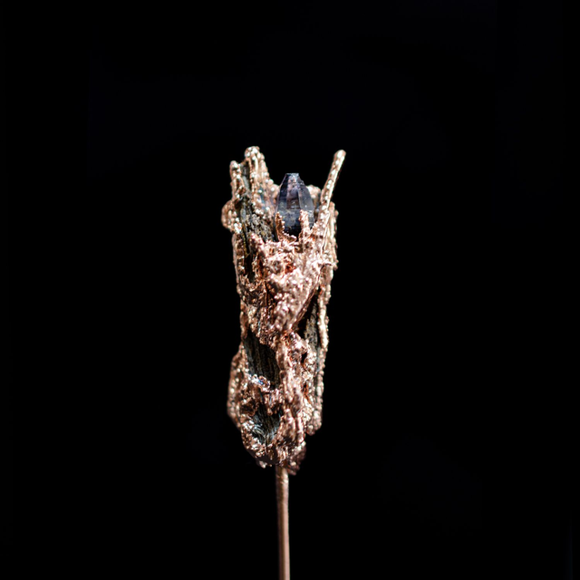 Broche Apothécie - 5/6 