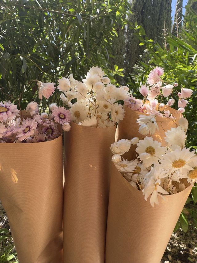 Botte rhodante rose séchée