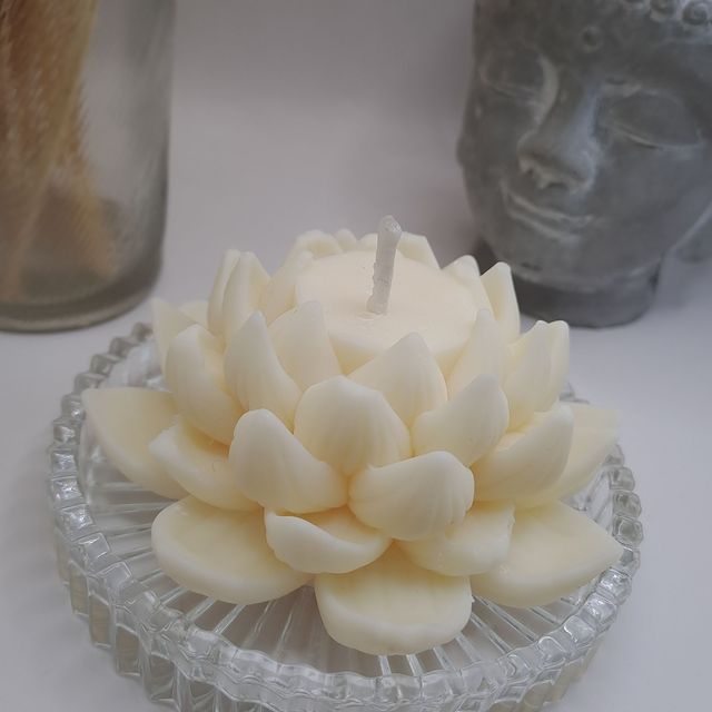 Fleur de Lotus ouverte