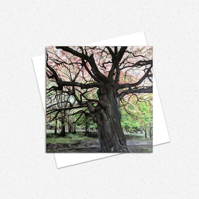 Calderstones Tree Greeting Card