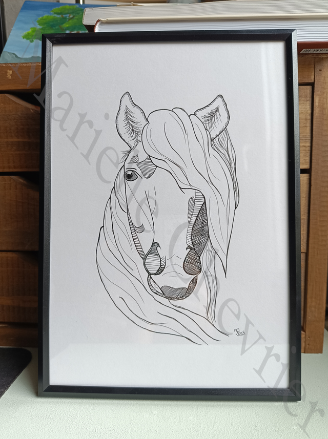 Croquis poney