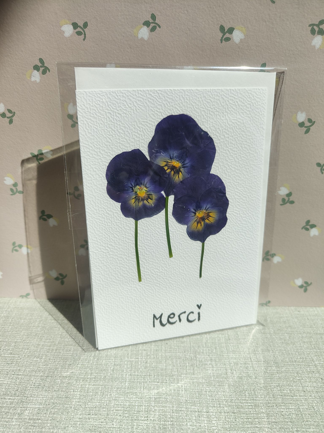 Carte pensées bleues avec fleurs pressées