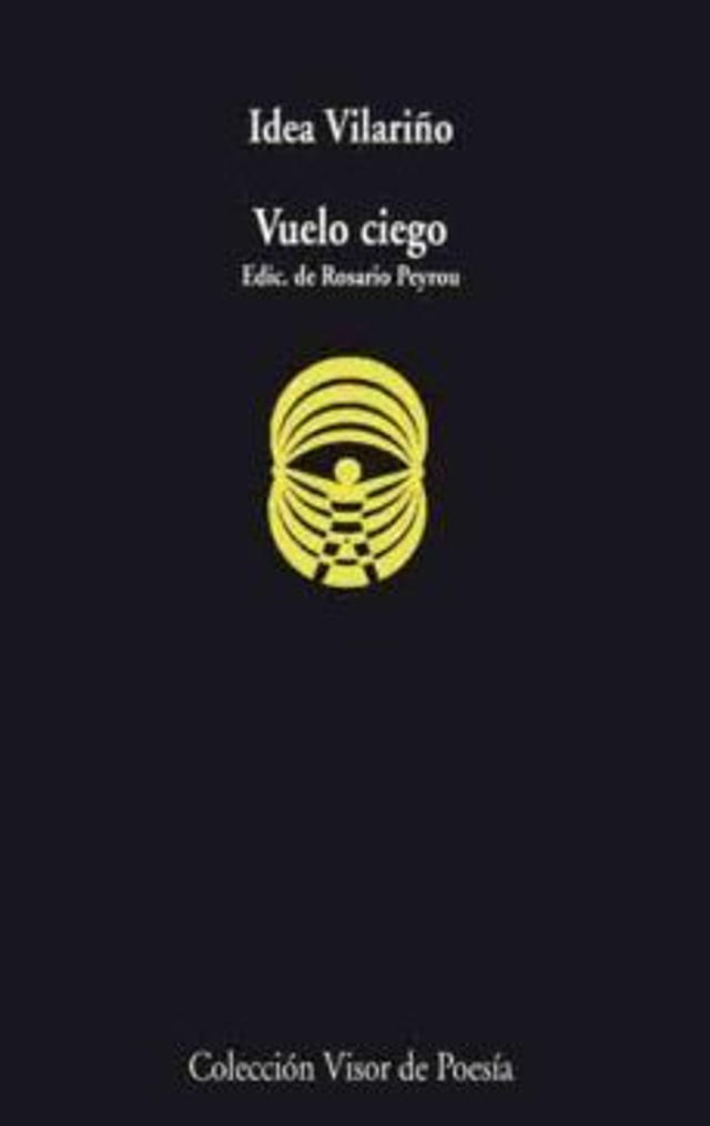 Vuelo ciego - Idea Vilariño