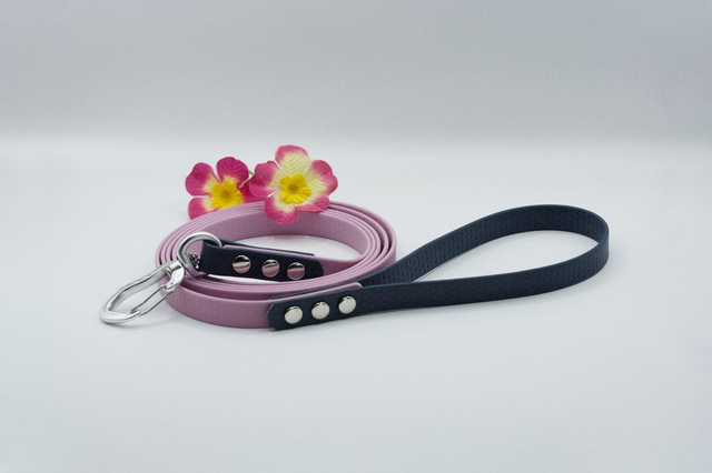 Laisse Hexa bicolore 3 m 