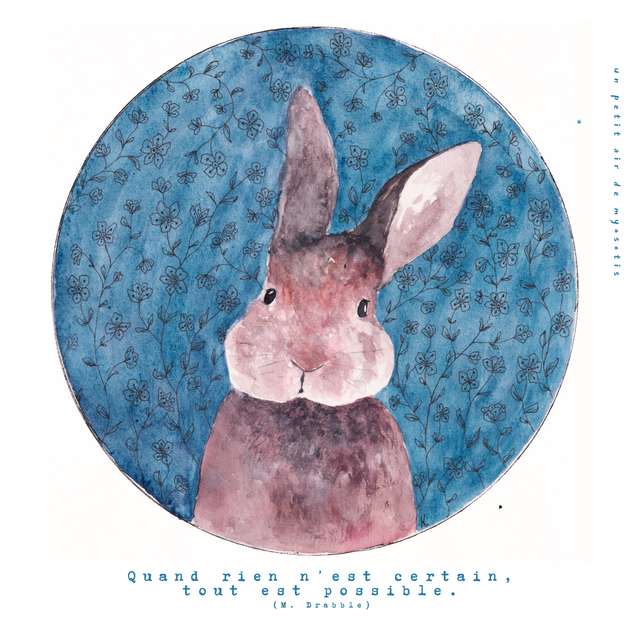 Carte postale &quot;Quand rien n&#039;est certain, tout est possible.&quot; - Lapin