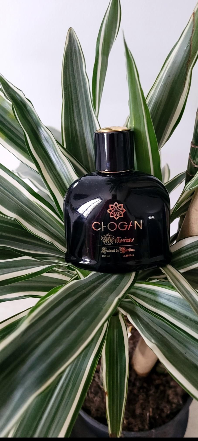 Parfums Hommes 100ml et 35ml