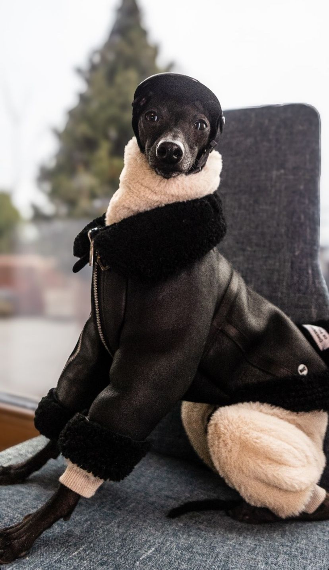 RO Leather Fur Jacket