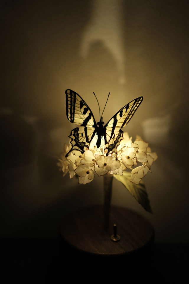 Flower Candlelight .002