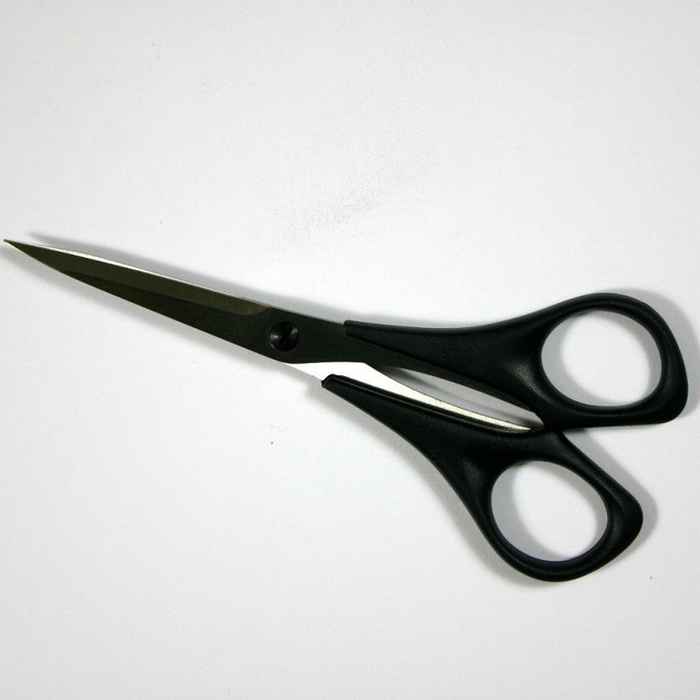 Schaar 16 cm (906) Paul