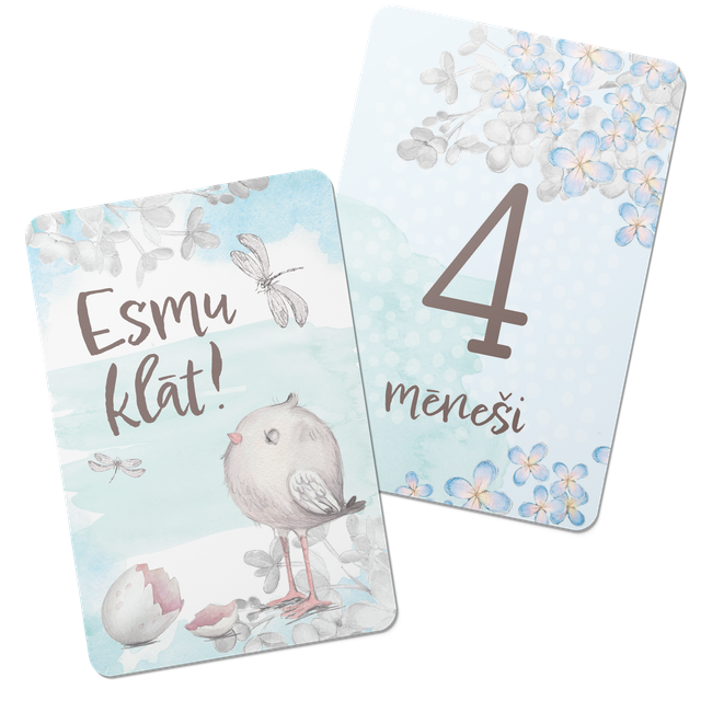 Mēnešu kartītes (20 gb.) POT POURRIE - blue