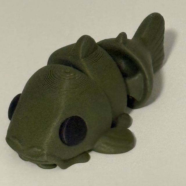 3D Printed Catfish