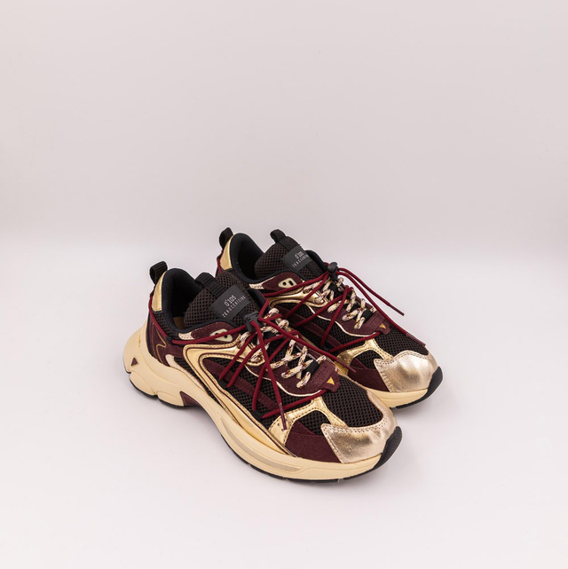 Baskets Spider Gold Wine 