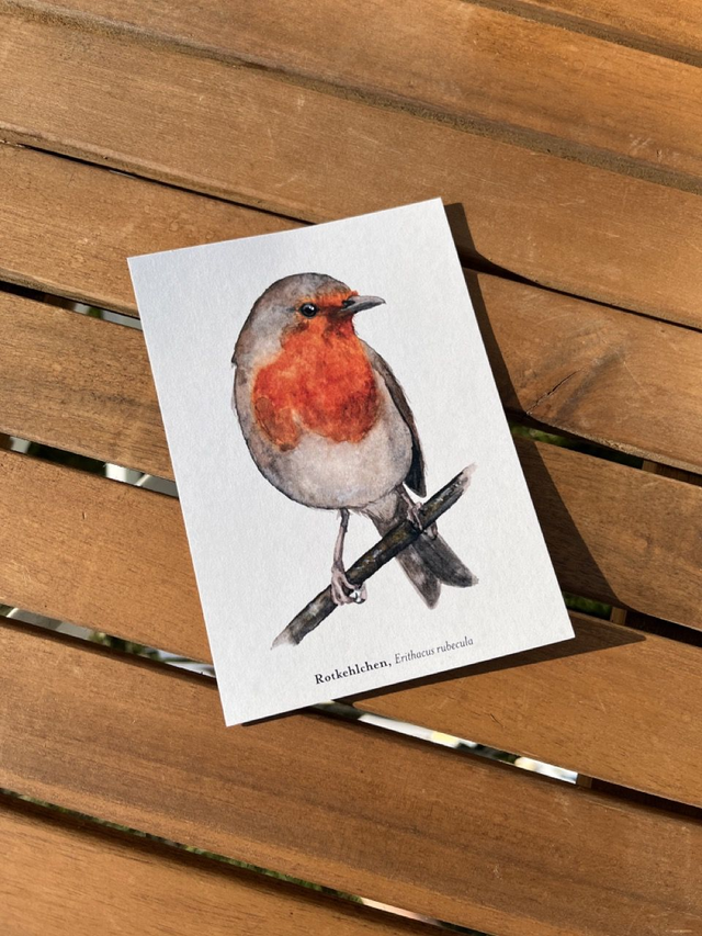 Postkarte Vogel "Rotkehlchen"