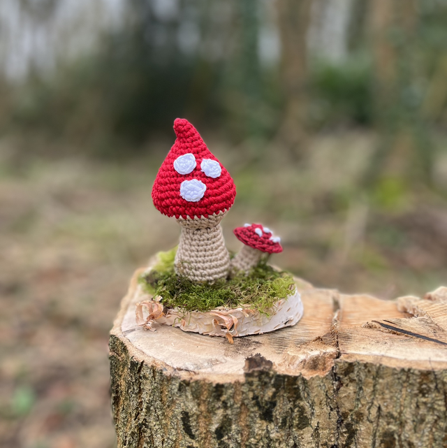 Red crochet mushroom duo 
