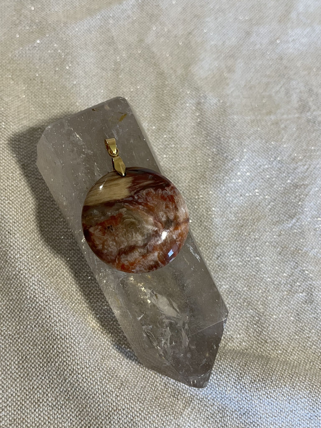 Pendentif en Bois Fossile