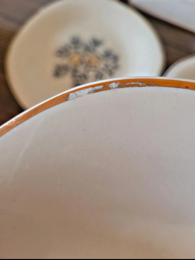 Assiettes plates Ceranord Saint Amand Dax, pommes de pin (par 6)