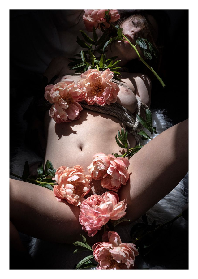 Carte Postale "Strasbourg Art Photography 2022 - Nature déconfinée / 2020 - DOOL" Unitaire Exposition