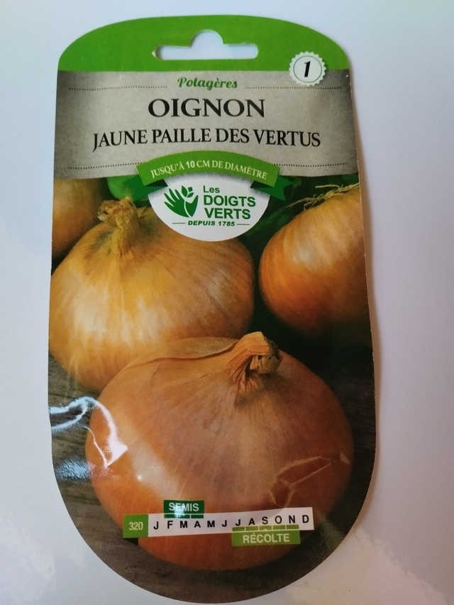 Oignon Jaune paille des vertus