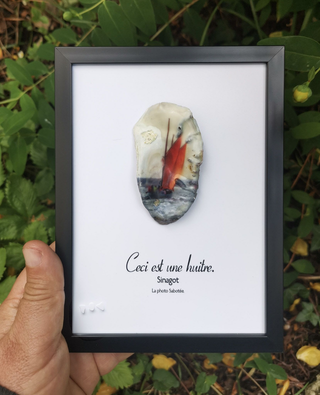 13x18 : Ceci est une huitre "Sinagot" e