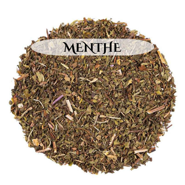 Menthe verte BIO