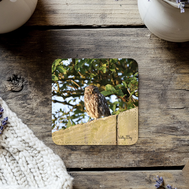“Little Owl” Coaster