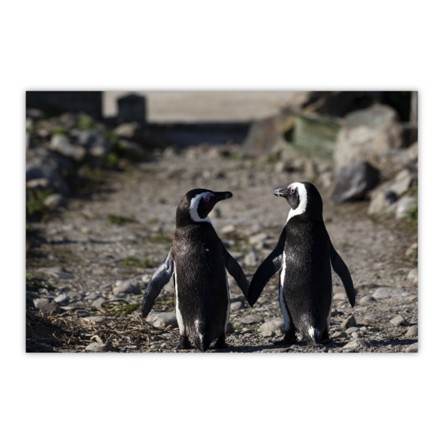 La Fin d'une Histoire